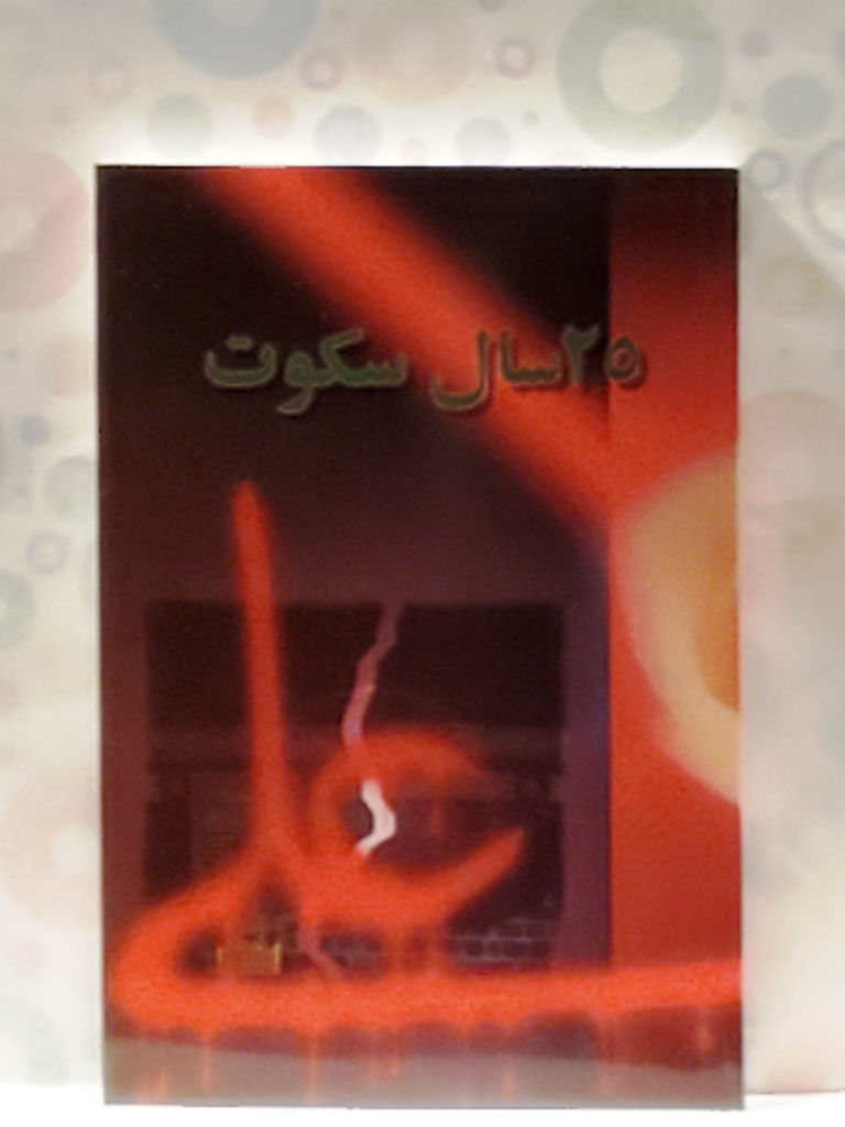 ۲۵ سال سکوت